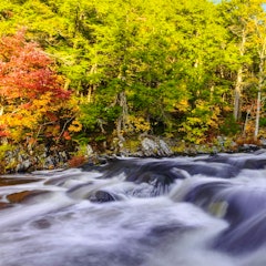 Lunnenburg to Annapolis Royal (83 miles)