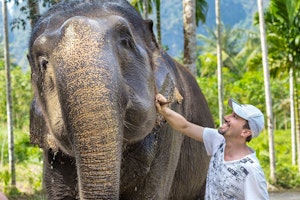 Thailand Elephant Safari & Beach Retreat image 2