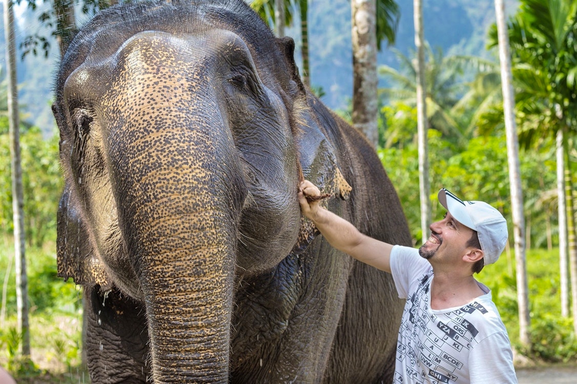 elephant hills khao sok thailand