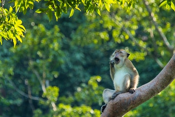 The Sarojin Khao Lak
