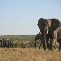 Nairobi – Masai Mara