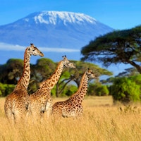 Natural Wonders of Tanzania With &Beyond image 2