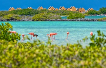 11 March – Kralendijk, Bonaire (Netherlands Antilles)