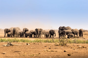 Hoedspruit (Kruger National Park) - Royal Malewane