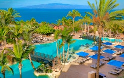 Lagoon pool, The Ritz-Carlton, Abama, Tenerife