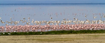 Lake Manyara