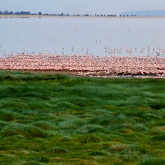 Lake Manyara National Park