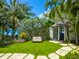 The Lone Star image 1