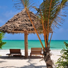 Selous Game Reserve – Zanzibar