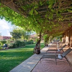 lounge chairs at red mountain resort