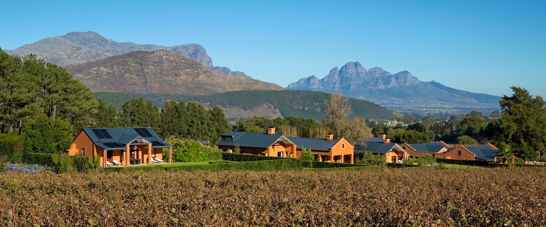Vineyard suites at La Residence Franschhoek, South Africa
