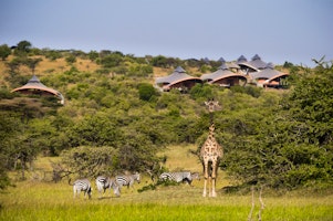 Mahali Mzuri image 2