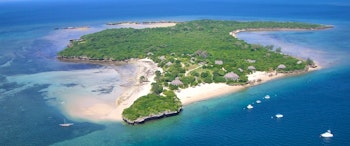 Azura Quilalea image 1