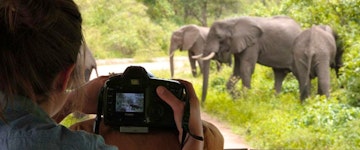 Serengeti National Park – Lake Manyara National Park
