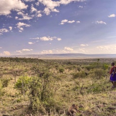 Kicheche Valley Camp