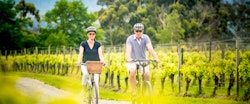 Biking Activity at Marlborough Lodge, New Zealand 