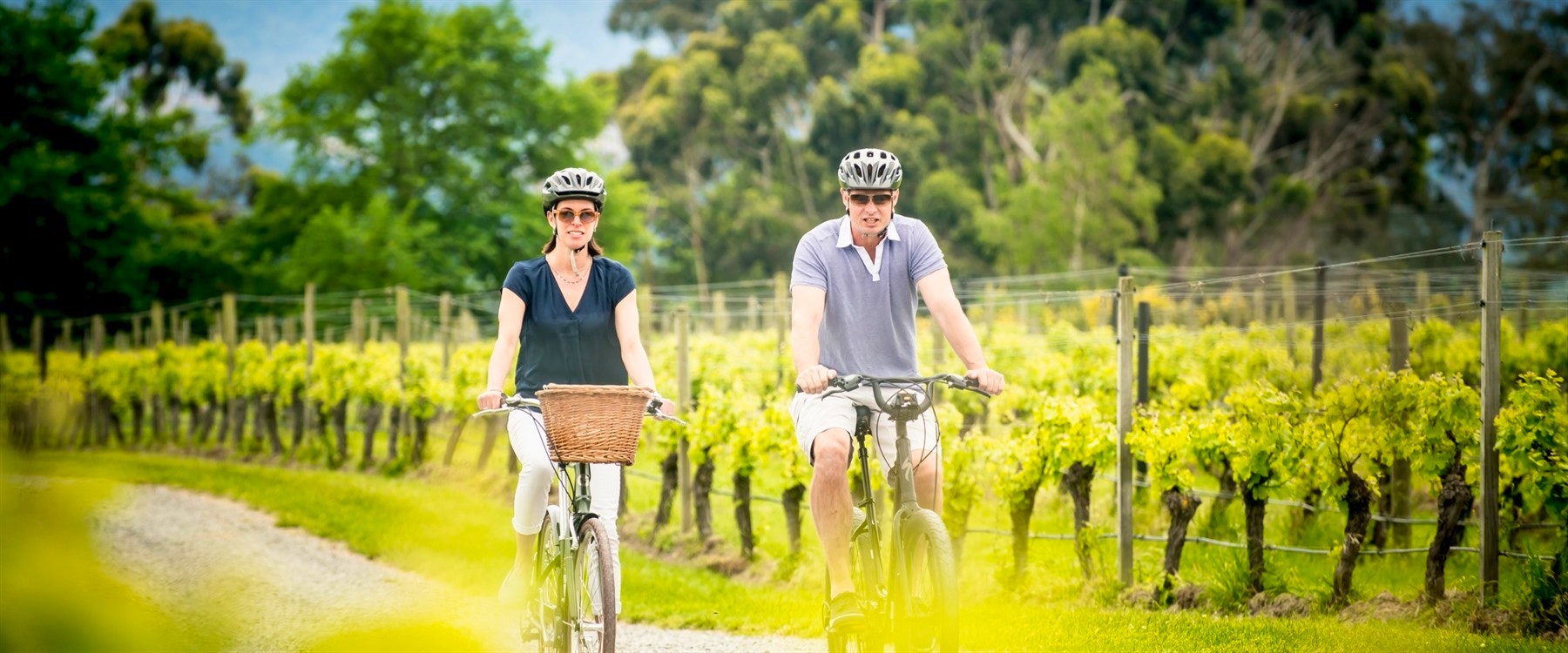 Biking Activity at Marlborough Lodge, New Zealand 
