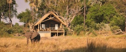 Accommodation at Eagle Island Lodge, A Belmond Safari, Botswana