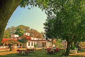 Chambal Safari Lodge image 1