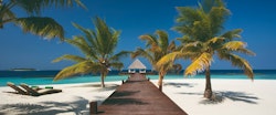 Beach at Coco Bodu Hithi, Maldives, Indian Ocean