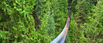 Vancouver & Capilano Suspension Bridge Tour