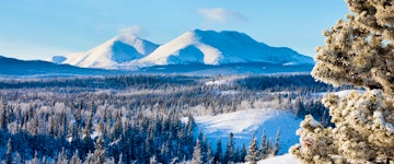 Whitehorse Sightseeing Tour 