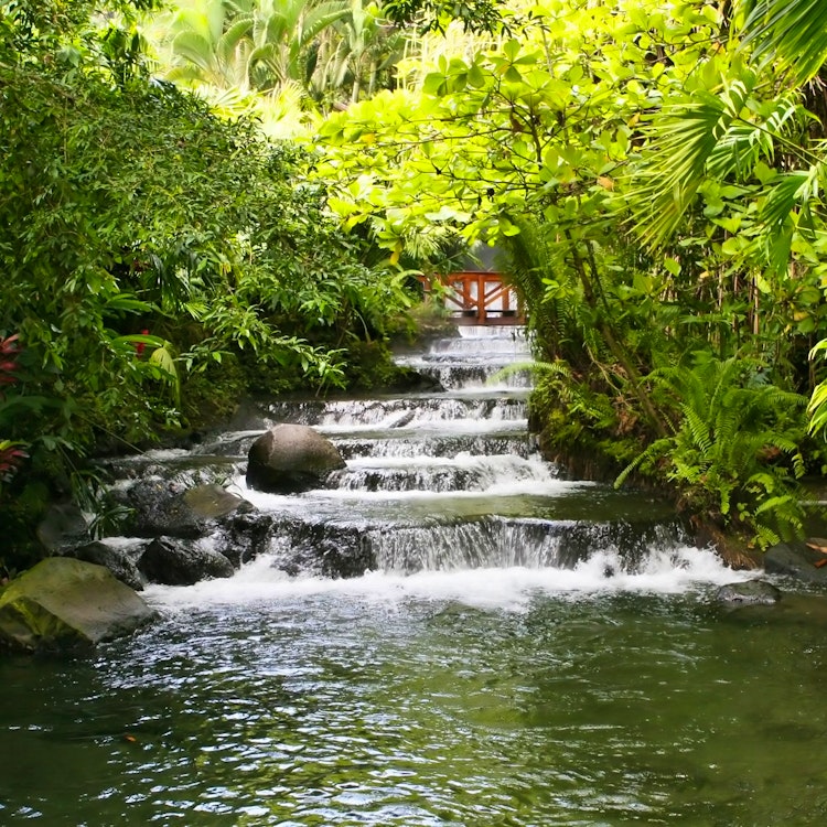 Tabacon hot springs