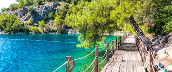 Hillside Beach Club image 3