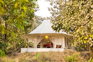 Jamtara Wilderness Camp image 1