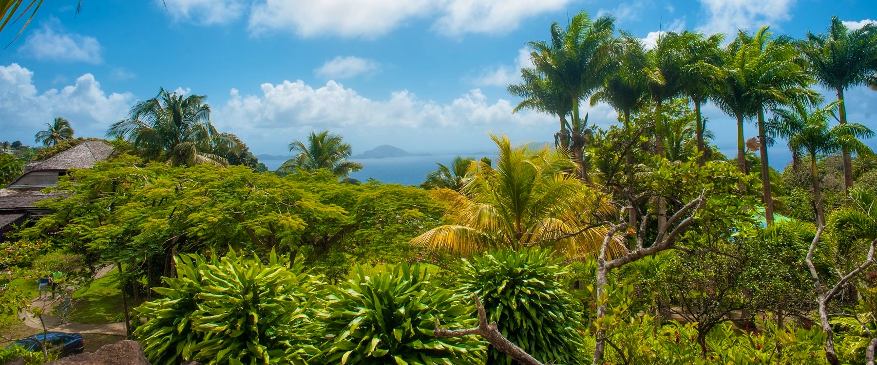 Beautiful Gardens at Le Jardin Malanga Hotel, Guadeloupe