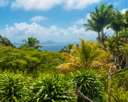 Beautiful Gardens at Le Jardin Malanga Hotel, Guadeloupe