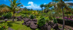 Gardens at Le Jardin Malanga Hotel, Guadeloupe