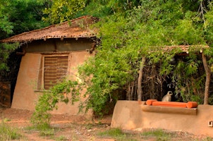 Mahua Kothi image 2