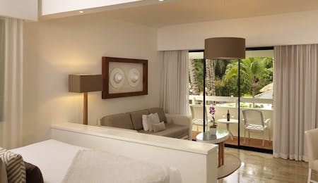 paradisus junior suite