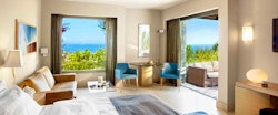 one bedroom suites sea view