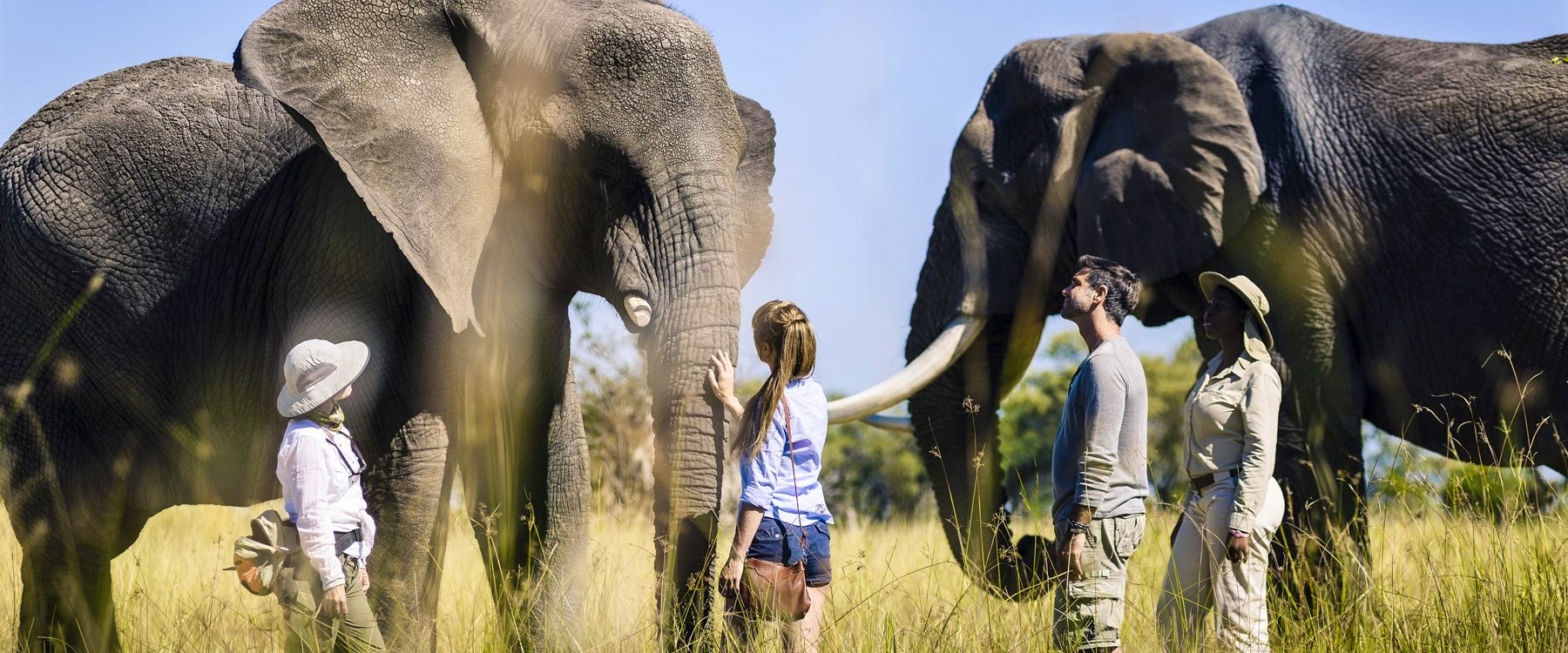 Elephants at Sanctuary Stanley’s Camp, Botswana