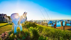 white elephant hotel nantucket