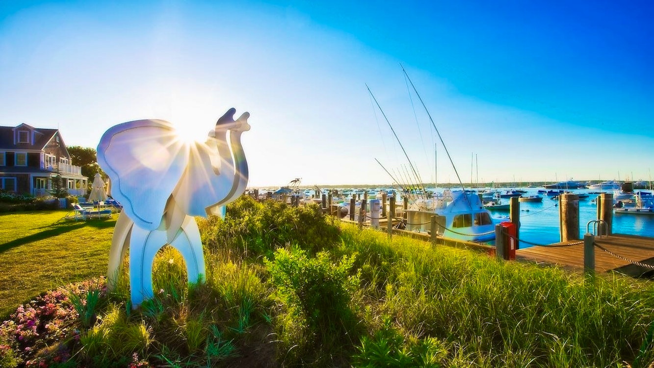 white elephant hotel nantucket