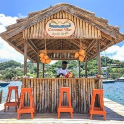 Coconut Bat at Young Island, St. Vincent & The Grenadines, Caribbean