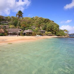 young island st. vincent the grenadines caribbean