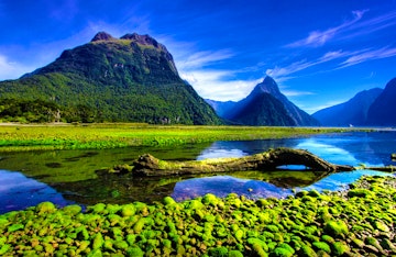 Travel to Milford Sound
