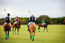 Horse Riding at casa de campo resort villas dominican republic caribbean