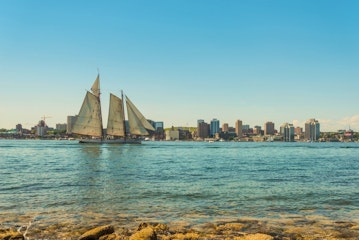 Tall Ship Silva Boat Tour