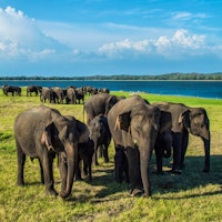 Highlights of Sri Lanka image 2