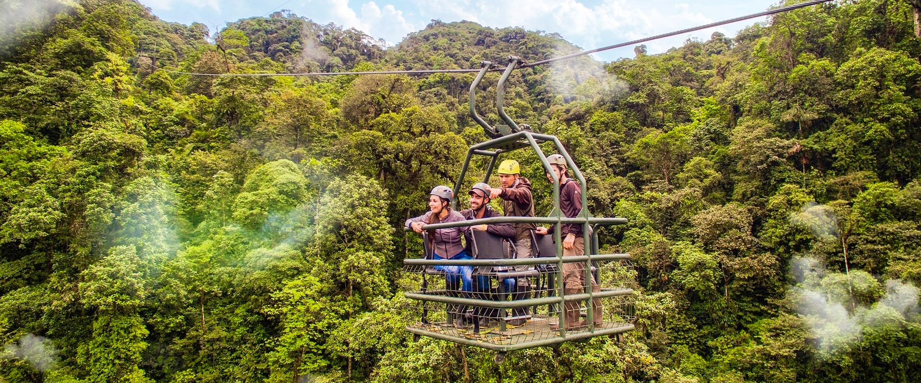 dragonfly activity, Mashpi Lodge, Ecuador