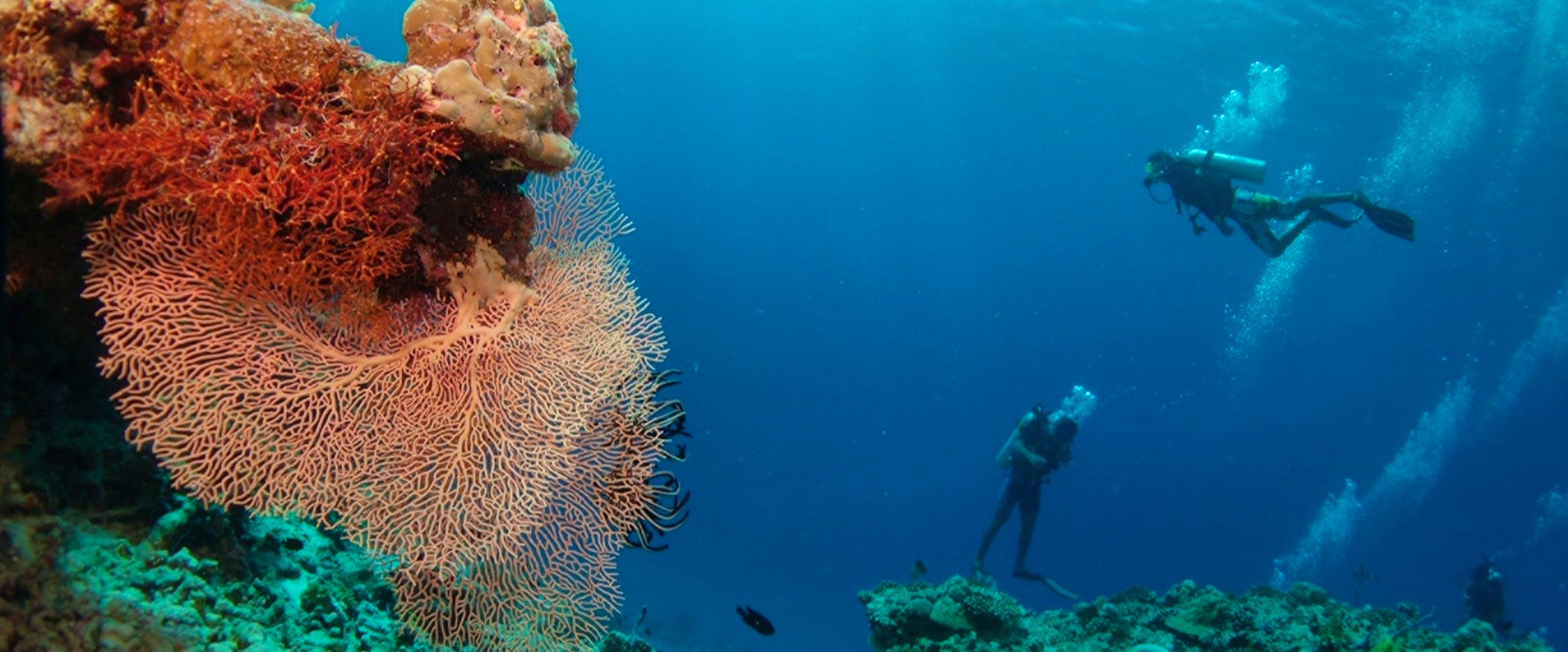 Snorkelling at Four Seasons Private Island Maldives at Voavah