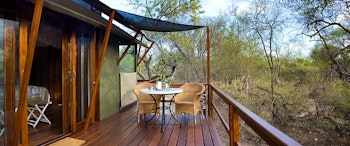 Mushara Collection  image 1