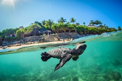 NIHI Sumba Island, Indonesia 5