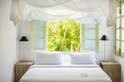 54 Pedlar Street Suites (3 Suites)