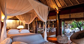 North Island image 3